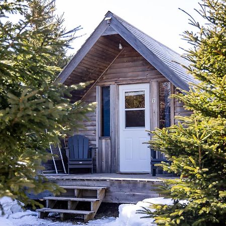 The Zzzz Moose Camping Cabins Birch Plain Bagian luar foto
