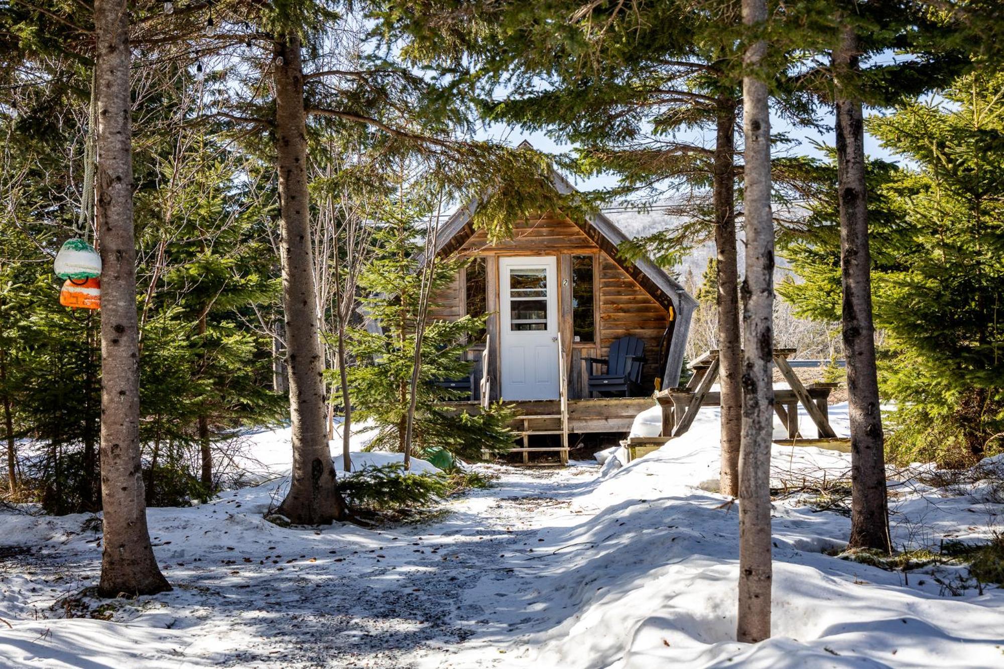 The Zzzz Moose Camping Cabins Birch Plain Bagian luar foto