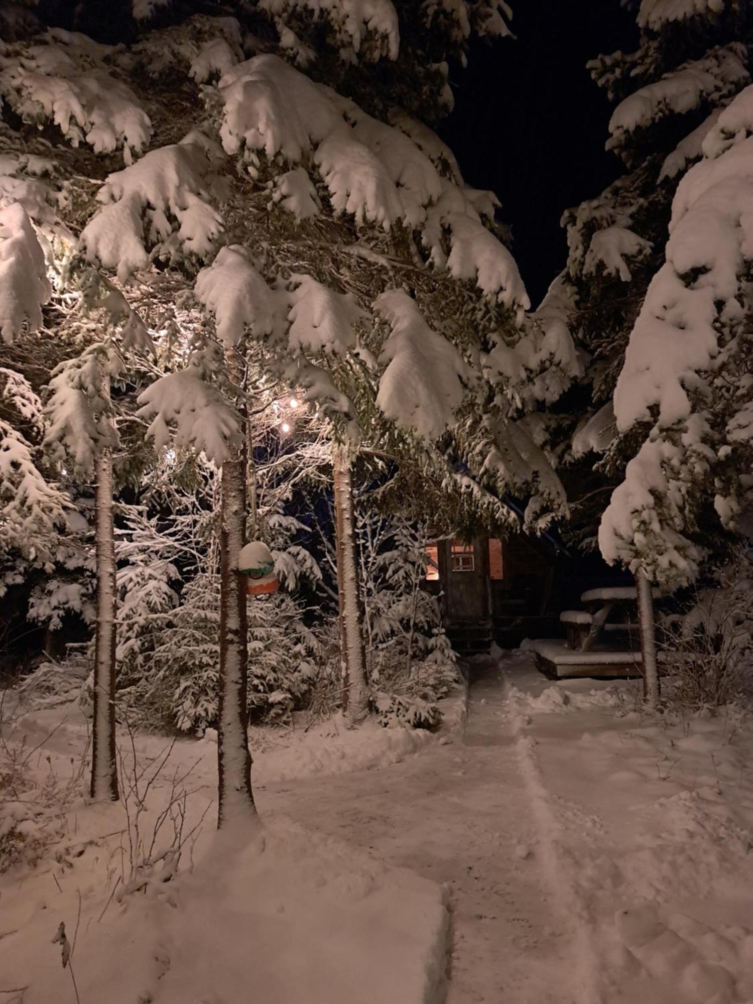 The Zzzz Moose Camping Cabins Birch Plain Bagian luar foto