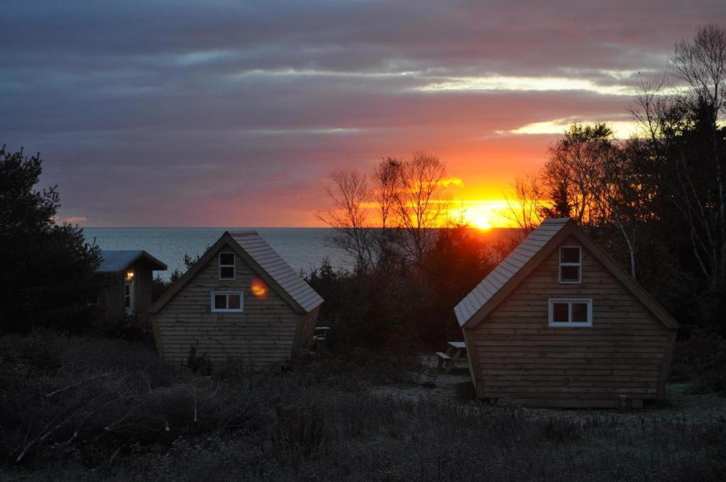 The Zzzz Moose Camping Cabins Birch Plain Bagian luar foto